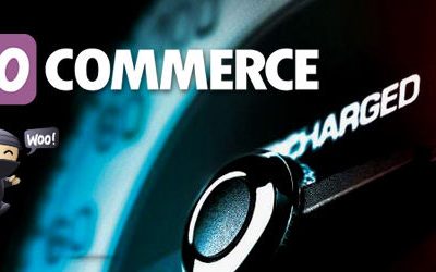 Optimizing the Performance (of Your WooCommerce Store)