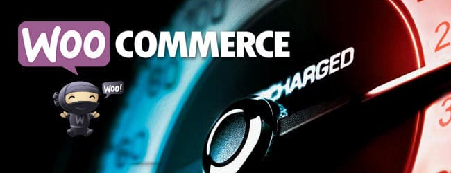 Optimizing the Performance (of Your WooCommerce Store)