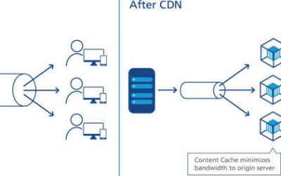 What Is CDN and How Can it Speed Up Your Online Store?