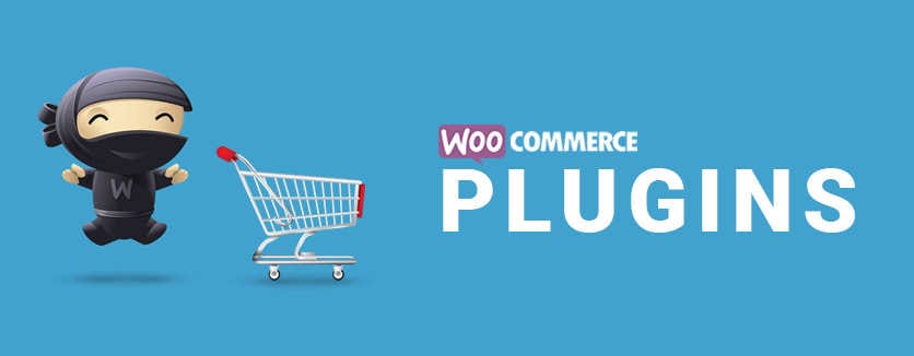 11 Must-Have WooCommerce Extensions for Business Owners