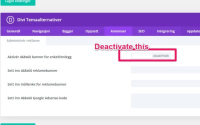 Remove 468 number in DIVI posts